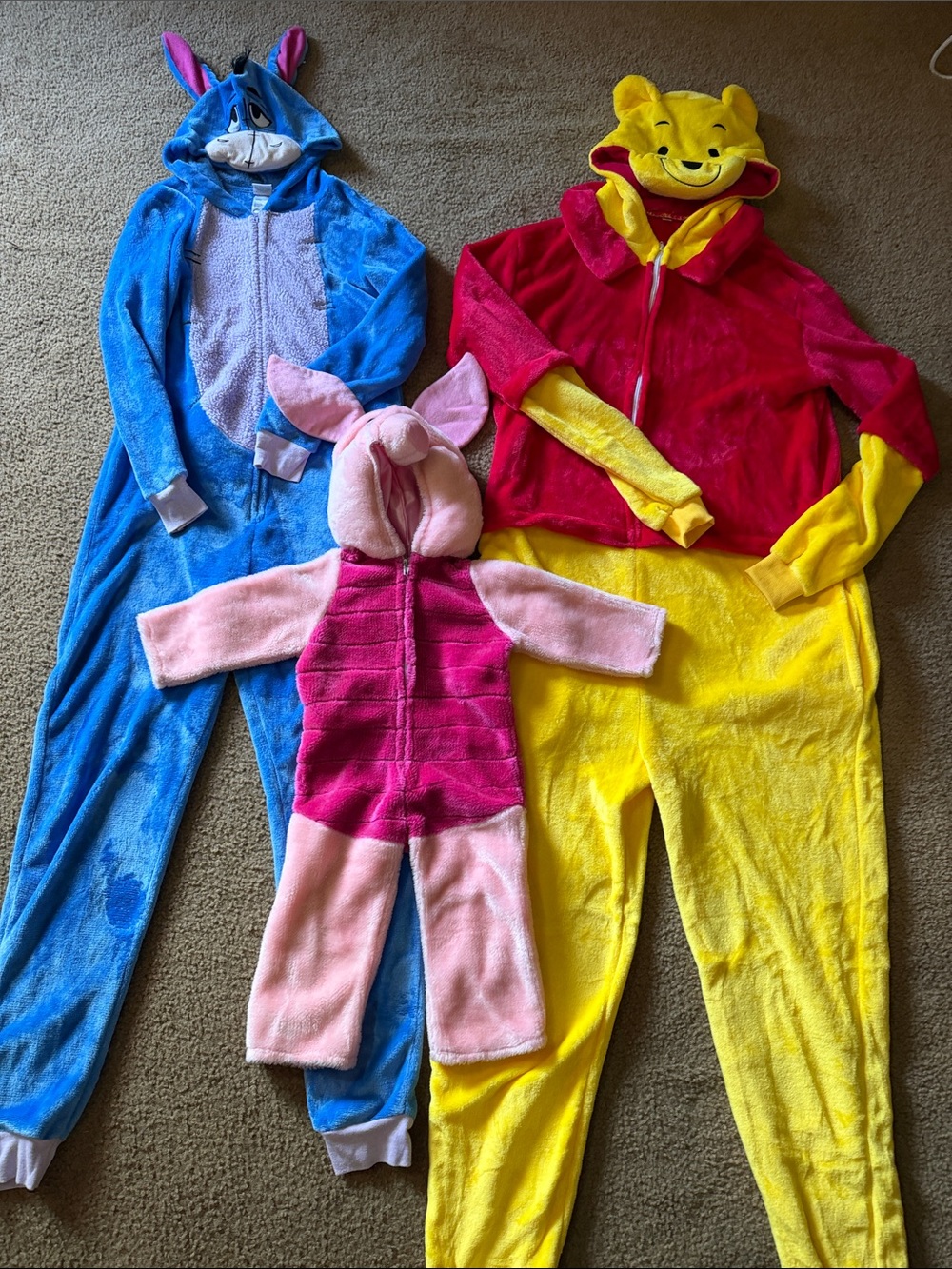 Winnie the Pooh family costumes
